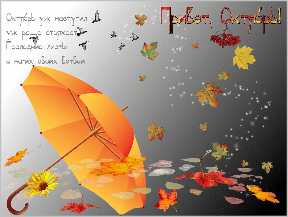 Осень Дождь Доброе Утро Картинки С Пожеланиями