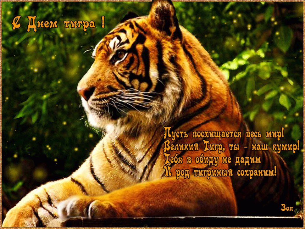 Поздравительная открытка на День тигра