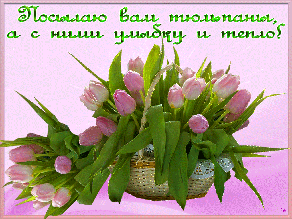 Фото хорошего весеннего настроения. Открытки с весенними цветами. Весенние цветы женщине. Весенние букеты с пожеланиями. Красивый весенний букет.