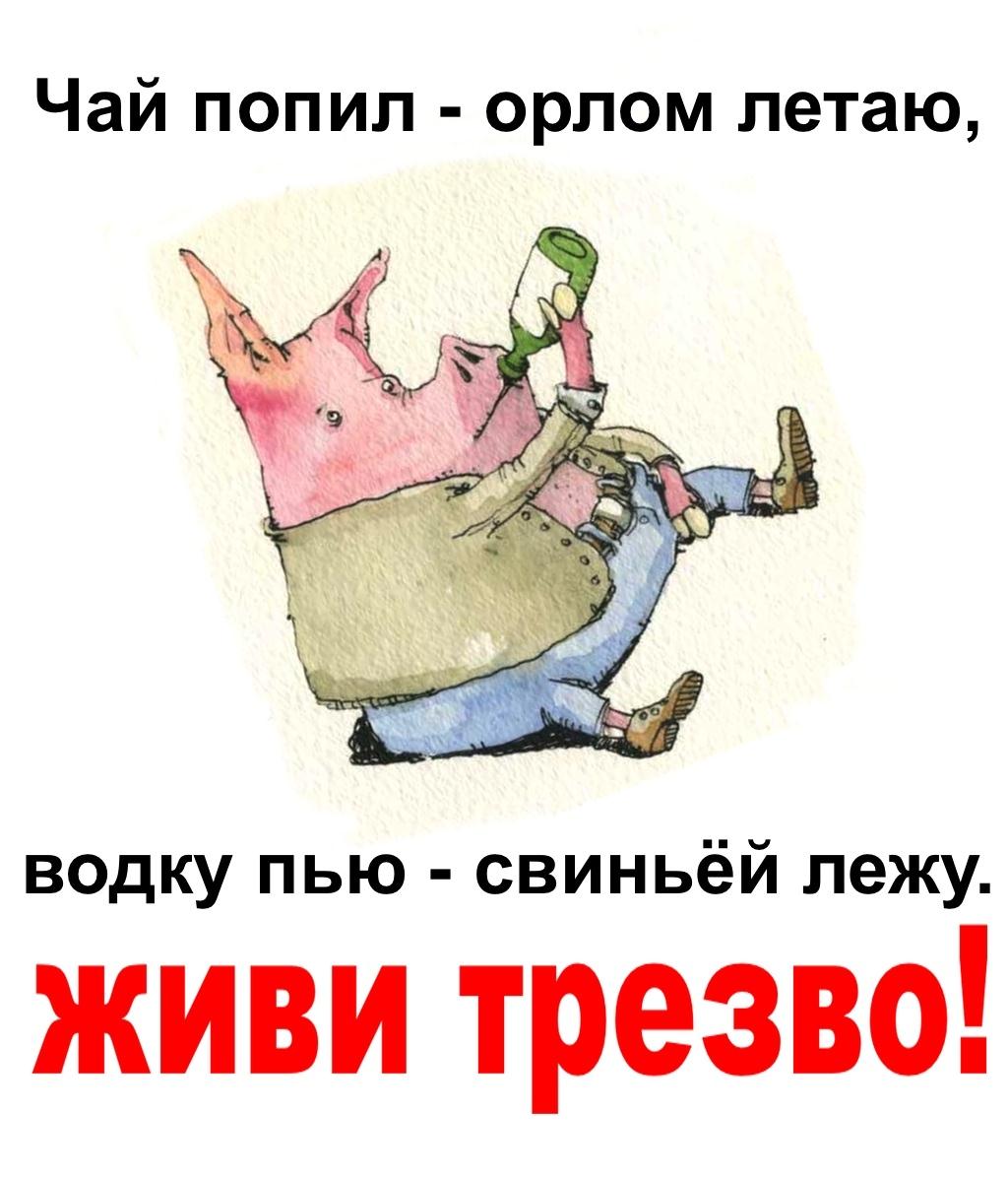 Лежать не пить не есть. Приколы о вреде алкоголя. Цитаты про трезвость. Смешные фразы про трезвость. О вреде алкоголя с юмором.