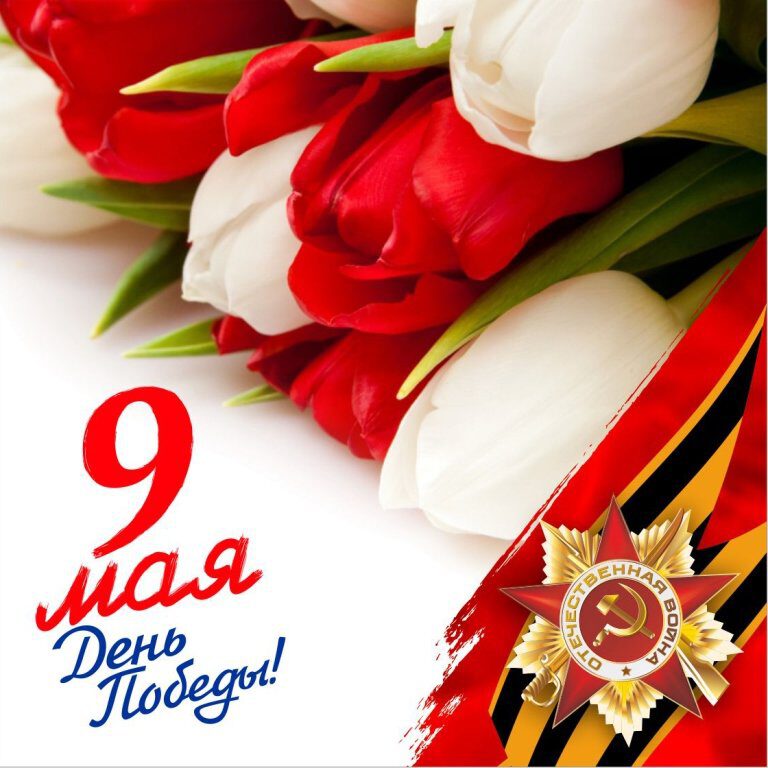 Открытка с красными и белыми тюльпанами на 9 мая