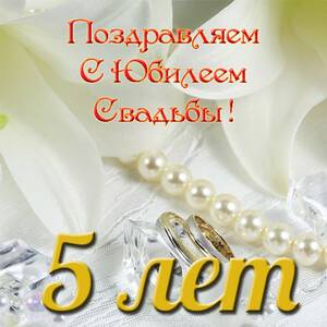 5 лет свадьбы фото