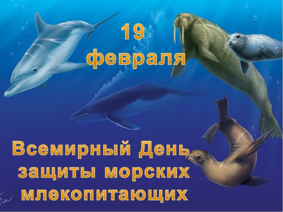 Скачать виртуальную открытку на Всемирный день китов