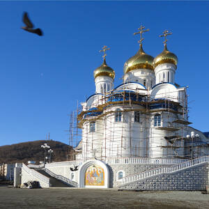 Герб петропавловска камчатского фото