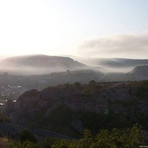 Цветы в виде ромашек фото