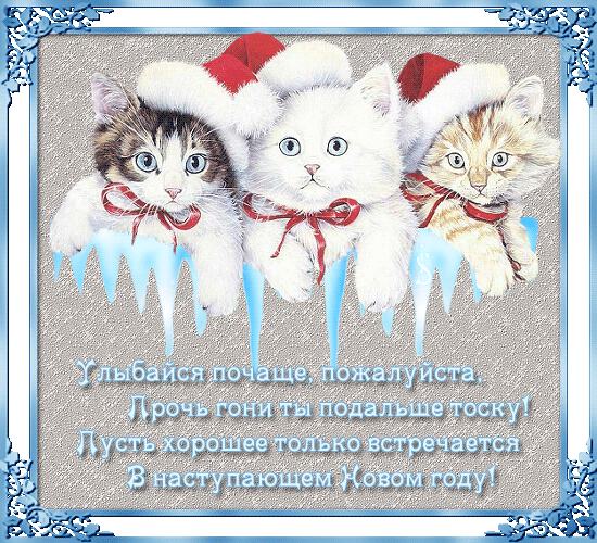 кошки -предновогоднее пожелание