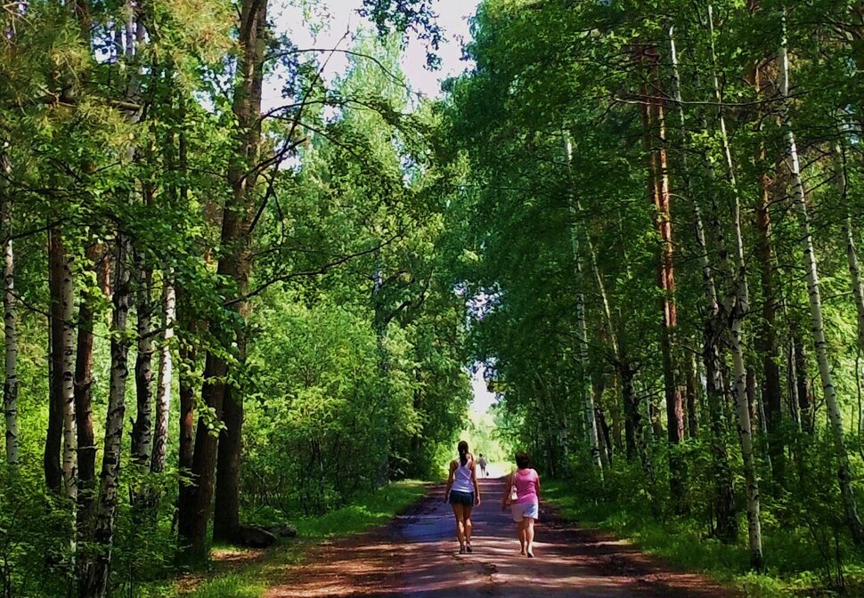 По лесной дорожке