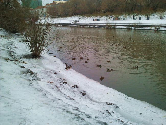 По городу