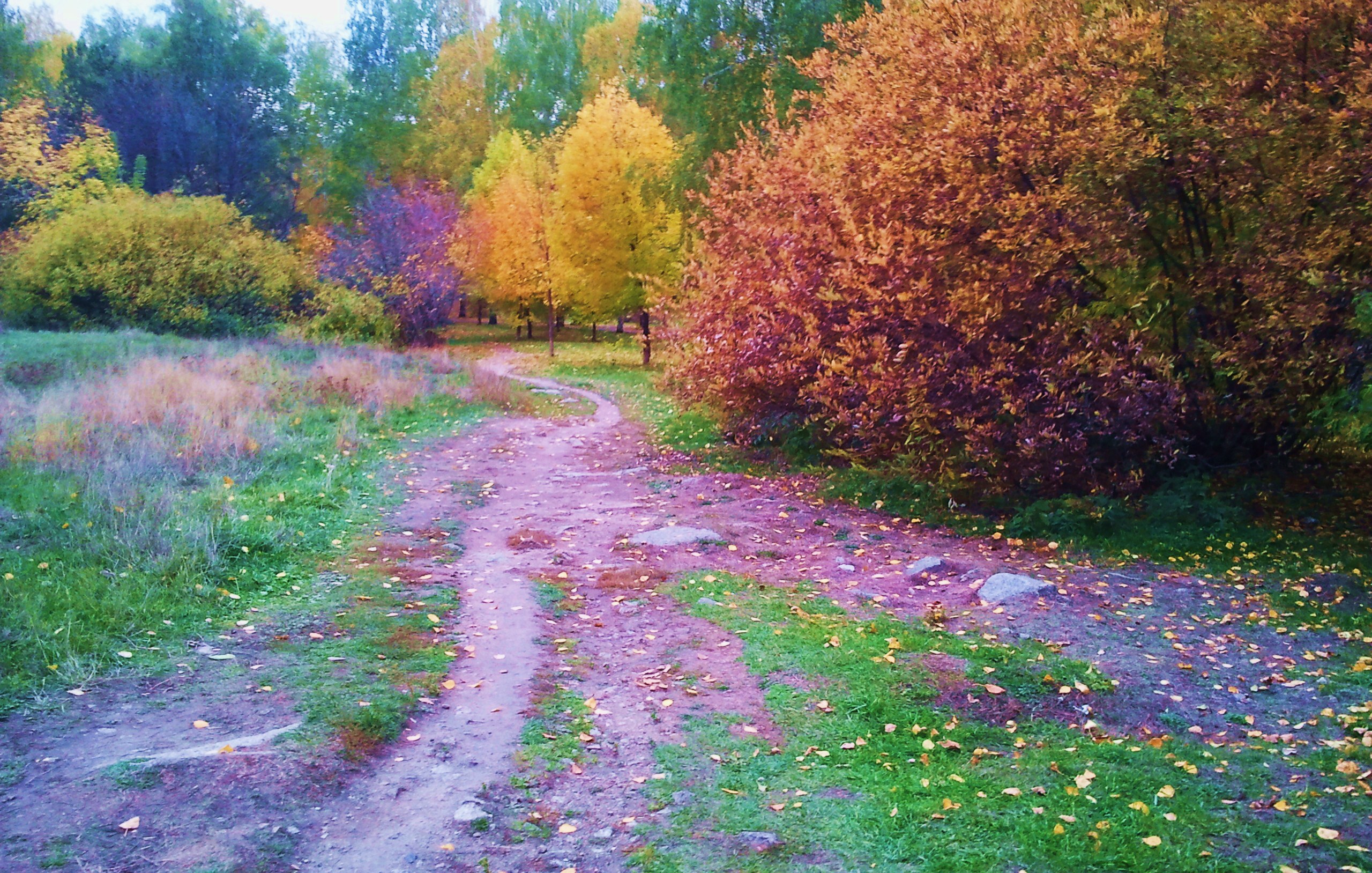 По тропинке осень шла