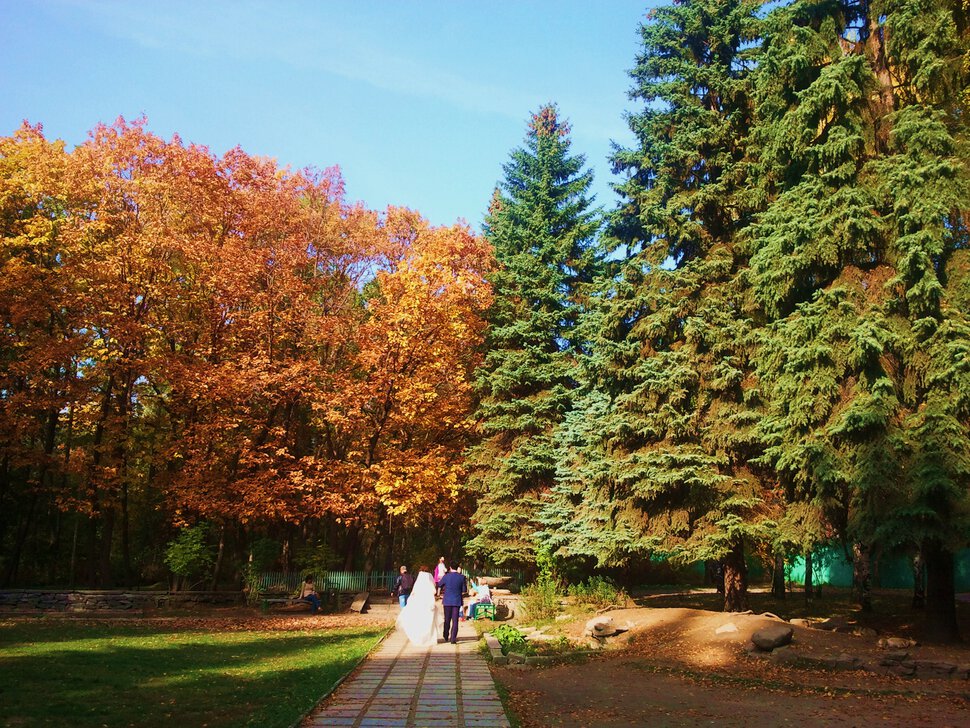 В осеннем парке