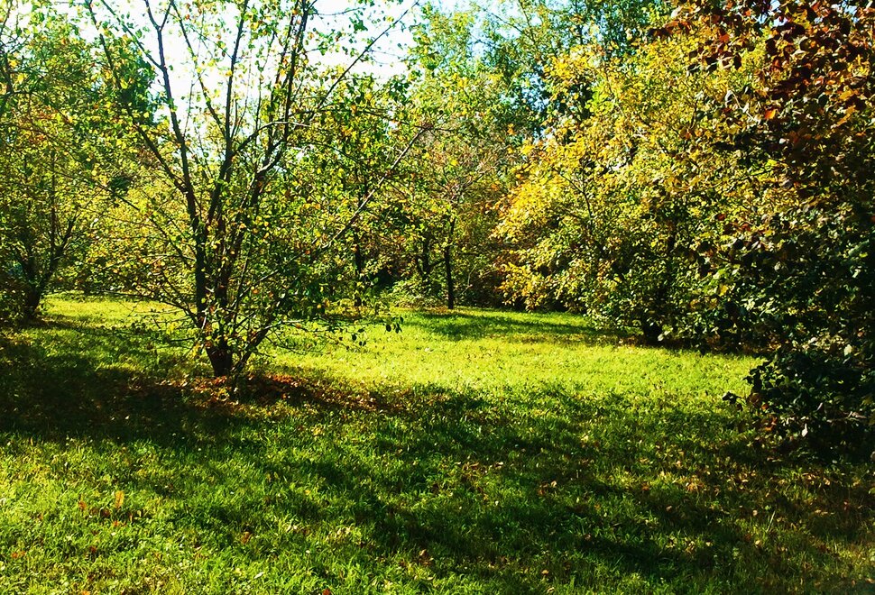 В осеннем лесу