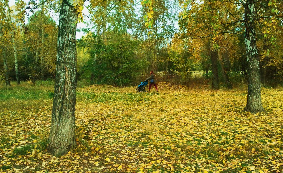 Прогулка в сентябре