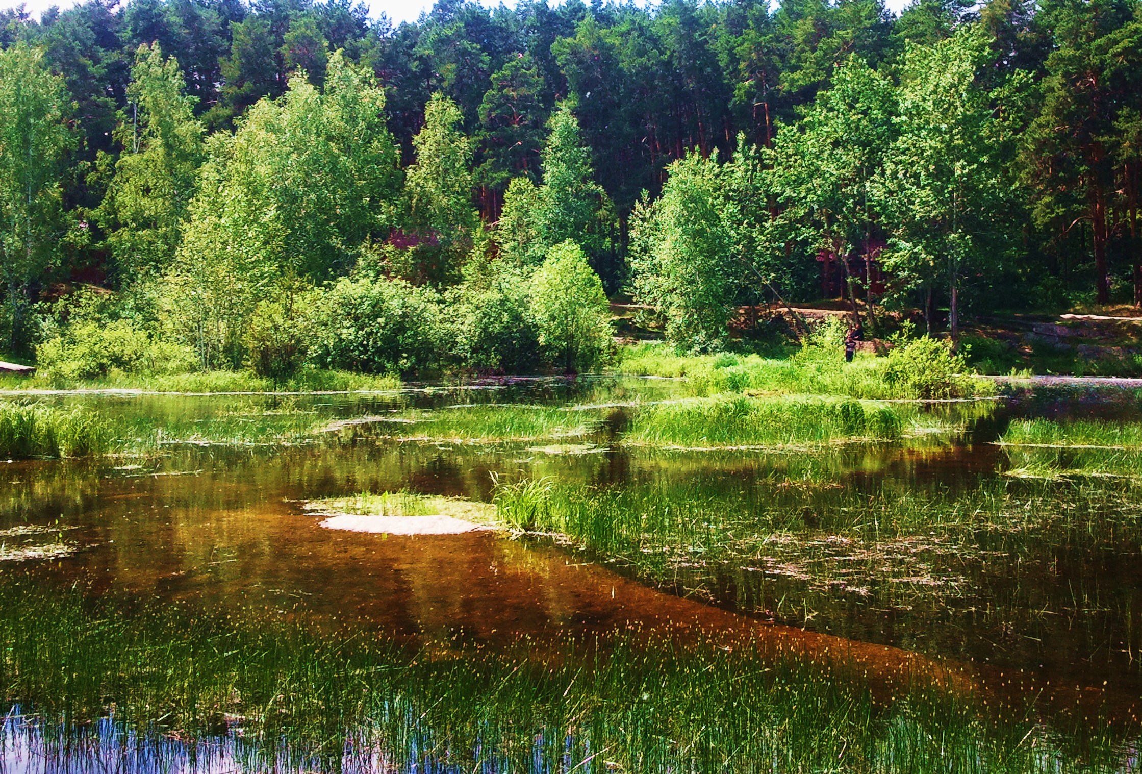 Ома озерцо. Озерцы Московская область. Озерцо в поселке Гиджал. Большие Озерцы. Маленькое озерцо Карелия.