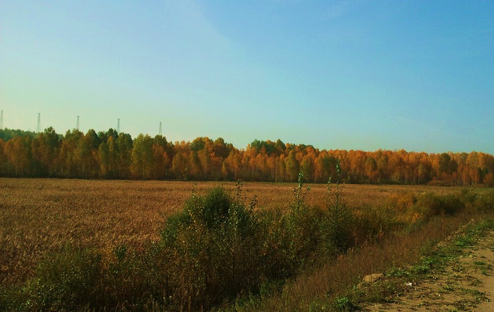 Осеннее приволье