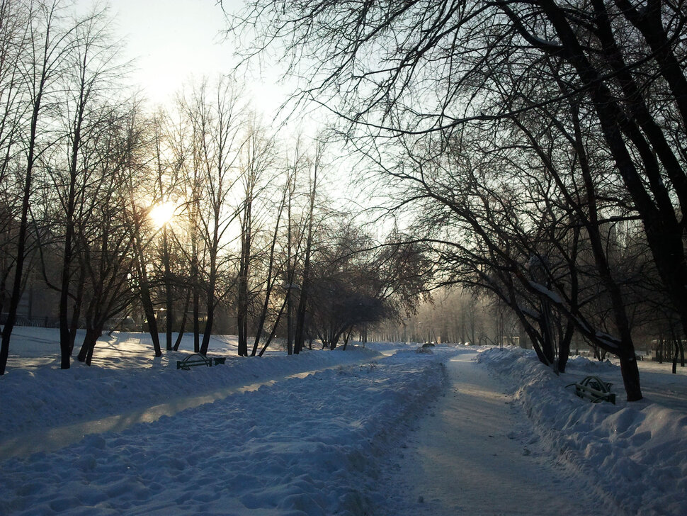 В утренних лучах