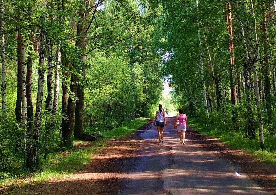 Лесная прогулка