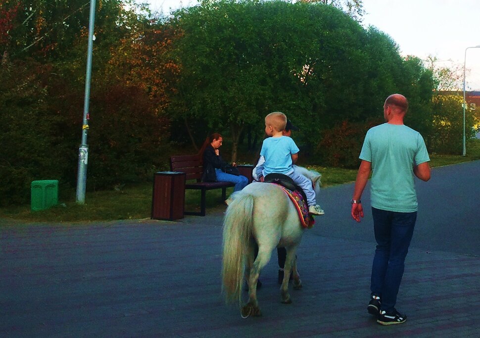 В парке на лошадке