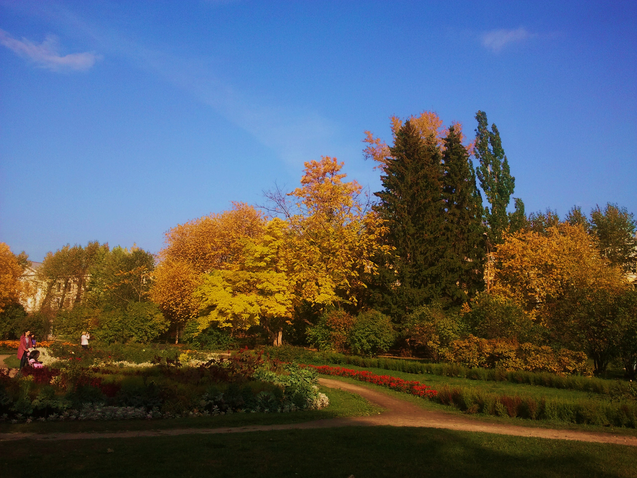Ботанический парк в пригороде Люблян в начале осени фото