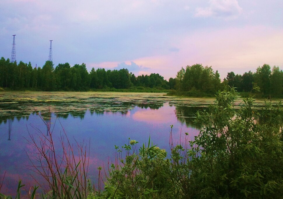 У реки в июле