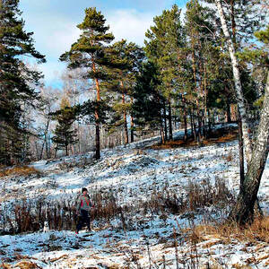 Лыжная прогулка в лесу описание фотографии