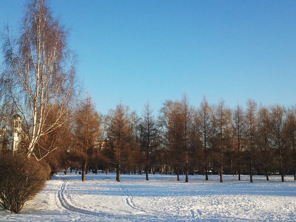 По лыжне в городе