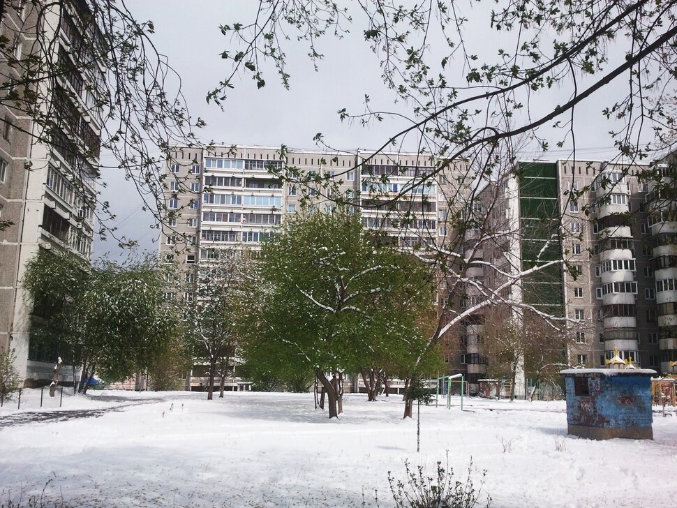 В мае во дворе