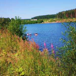 Возвращение на дикий пляж фото