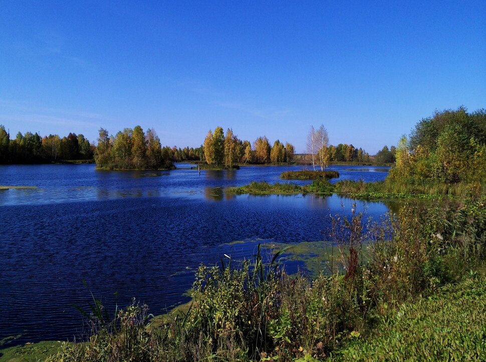 Осенью у реки