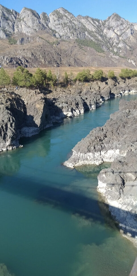 Река Катунь на Алтае. Автор фото Анна Филиппова