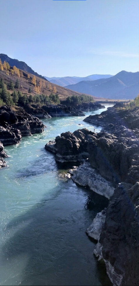 Река Катунь на Алтае. Автор фото Анна Филиппова