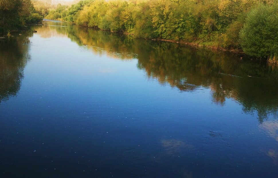 Осенью у реки