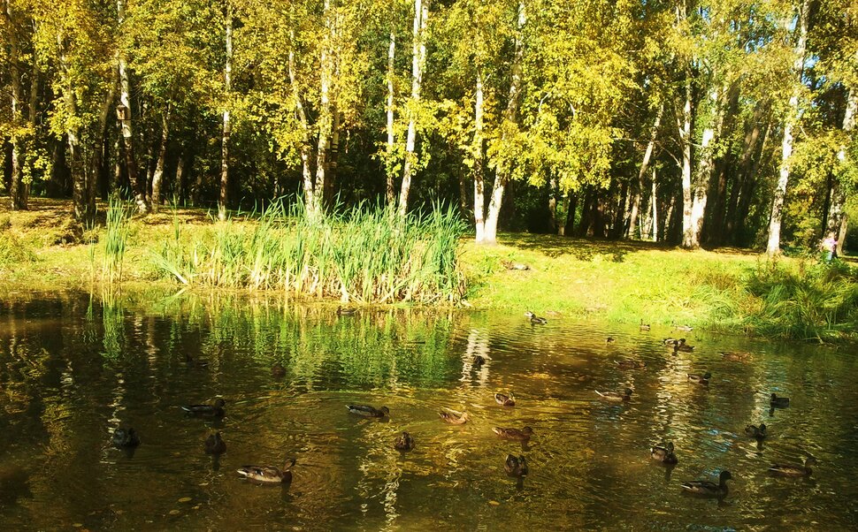 В сентябре у озерца