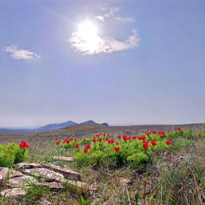 Весеннее солнце фото