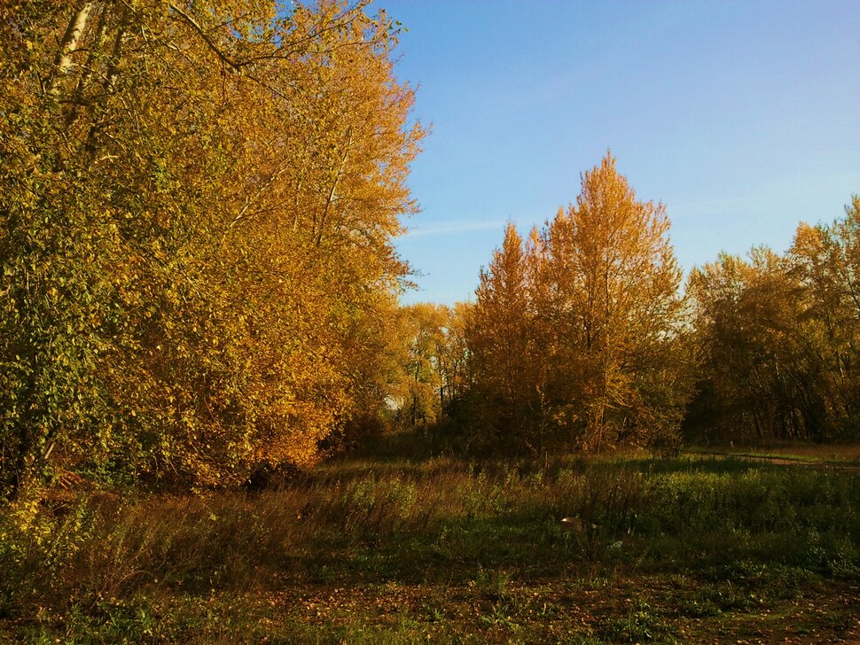 По осенним полям и лесочкам