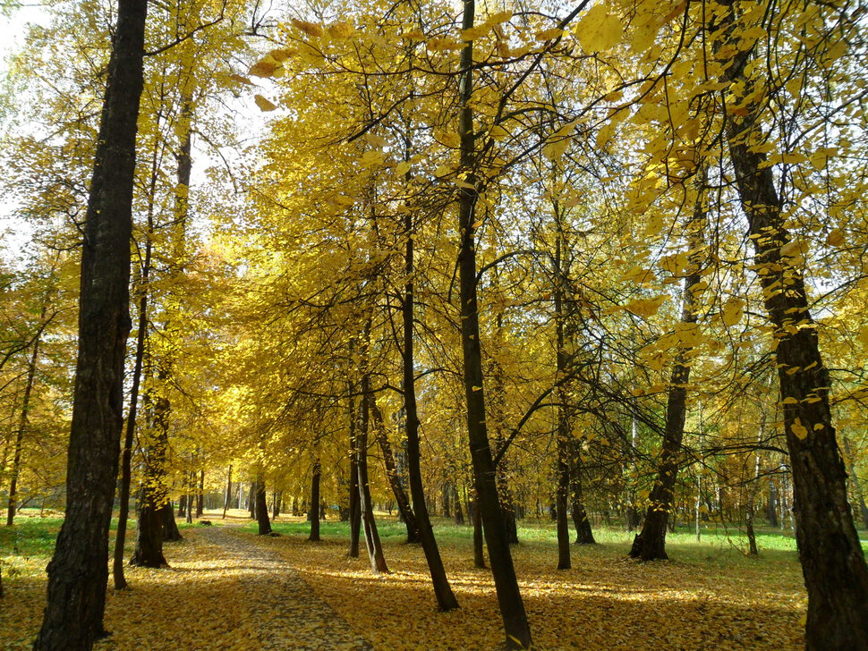 В осеннем парке Барыши-II