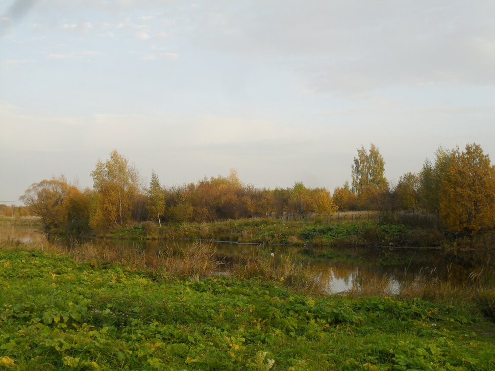 Солнцеликая осень в Чехове