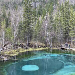 Гейзерное озеро алтай фото