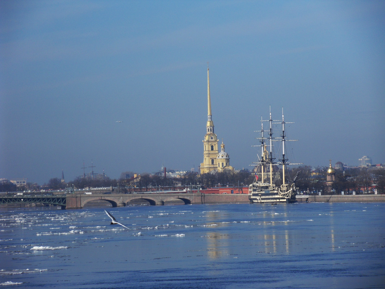 Петропавловский собор зимой СПБ