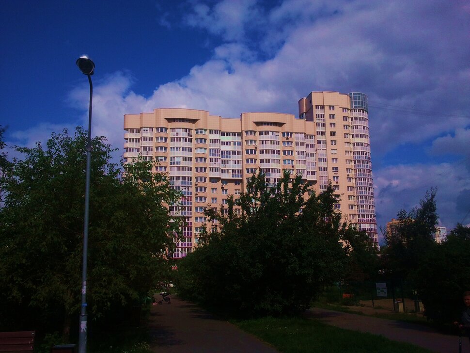 Летом в парке