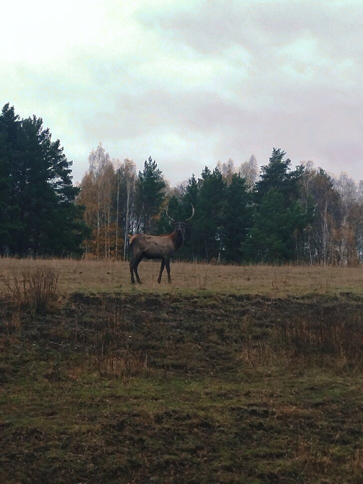 Золотая осень на Урале