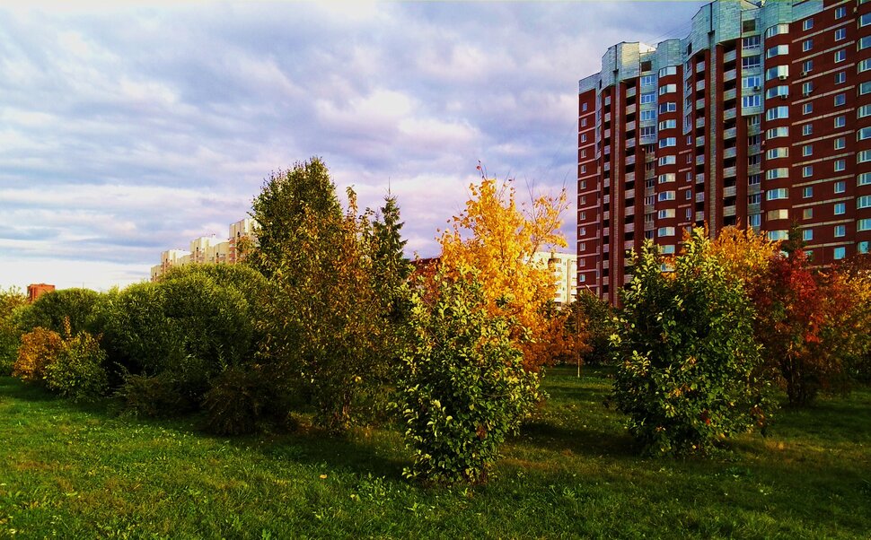 Осенью в парке