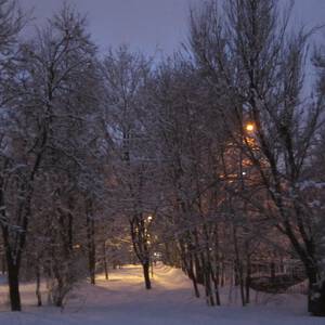 Фото в машине вечером