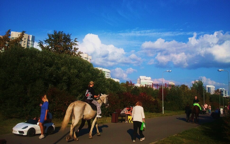 В парке на лошадке