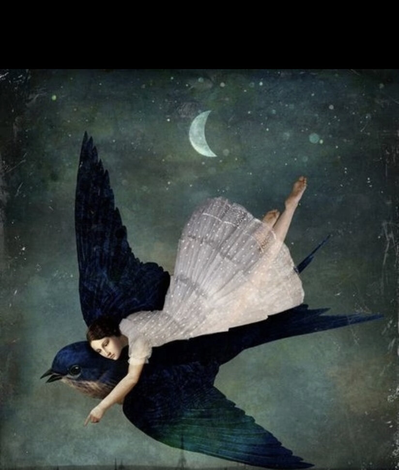 От художника Christian Schloe