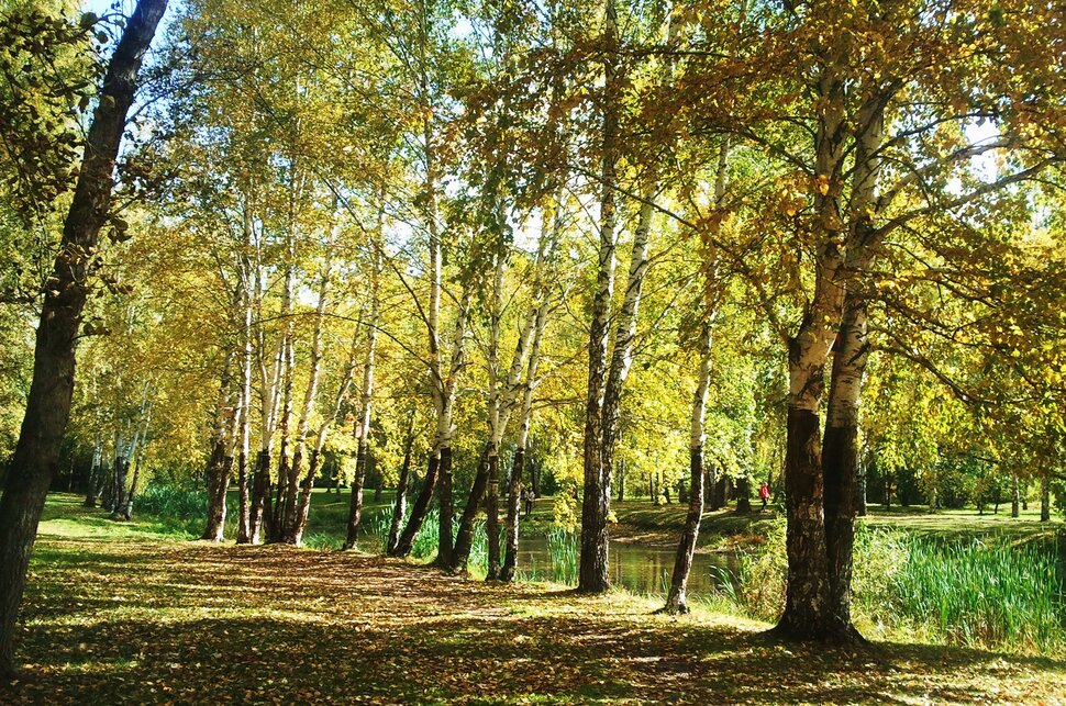 В ласковом сентябре