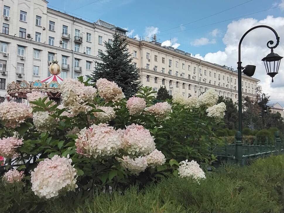 В Москве, на площади Тверской