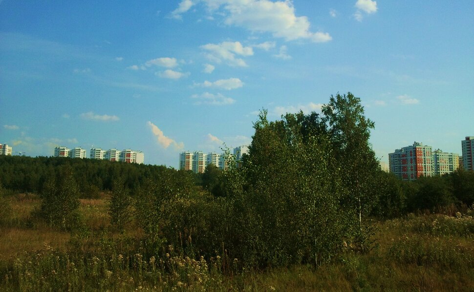 За городом