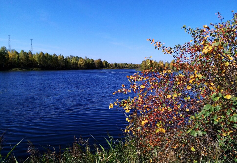 Осенью у реки