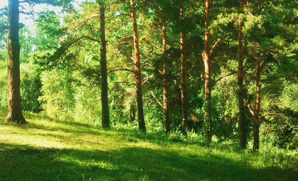 По августовским горкам