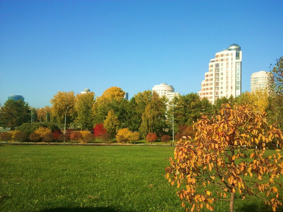 В парке осень